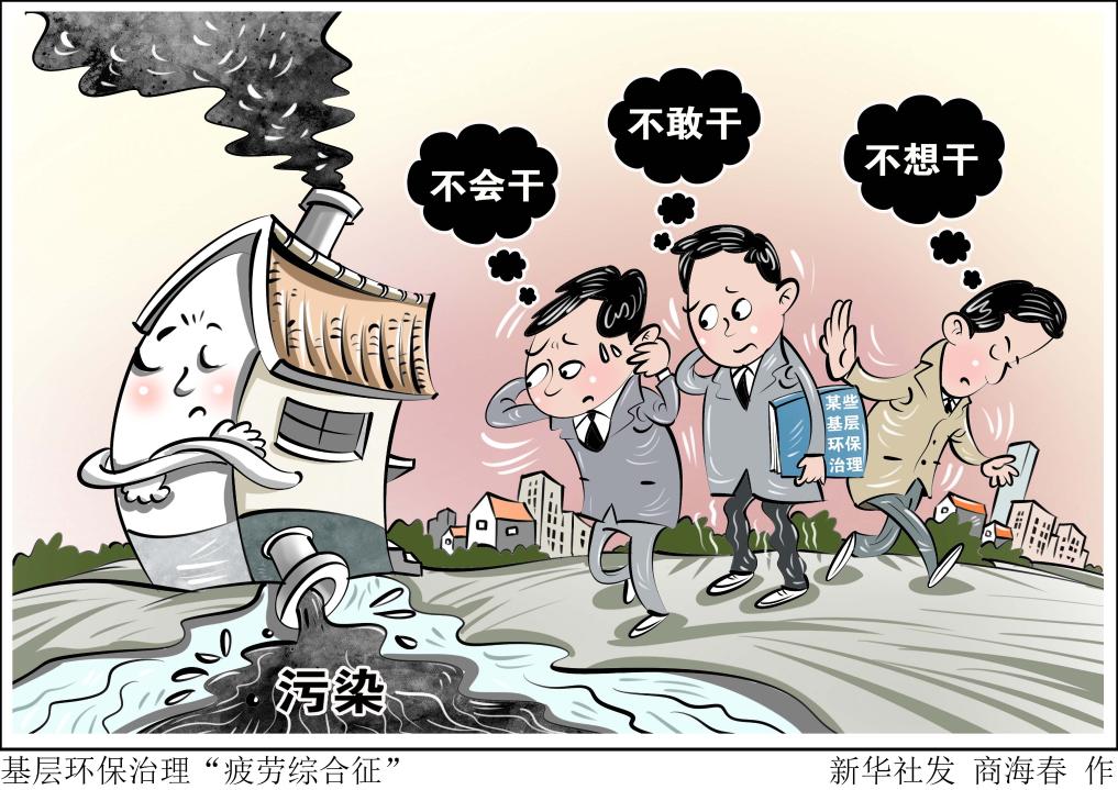 迷们看到了