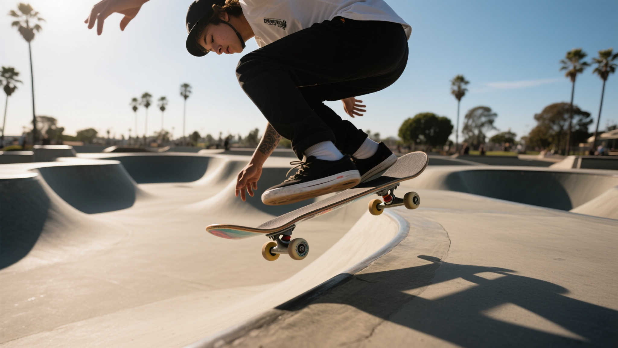 中的地位 中的地位